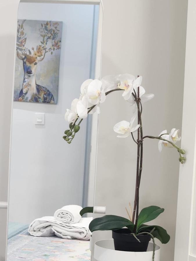 Apartamento Paula 巴利亚多利德 外观 照片